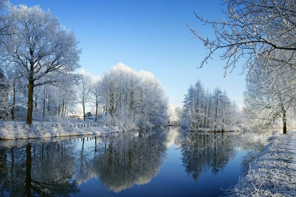 Snow-covered trees and grass by the river