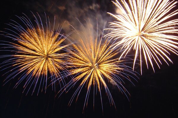 Un luminoso saluto notturno con fuochi d artificio