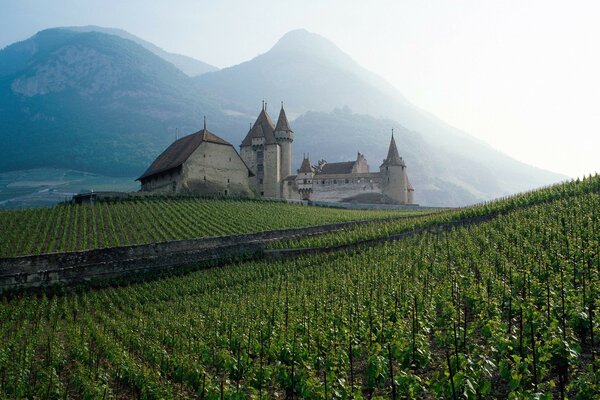 Far away on the mountain castle on the field