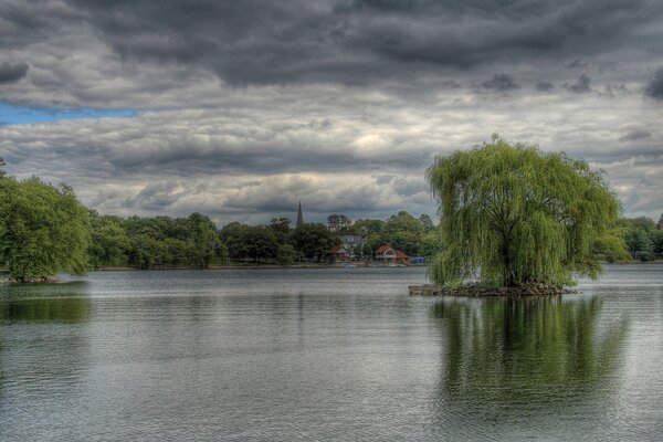 An island with a willow tree in the middle of a large lake