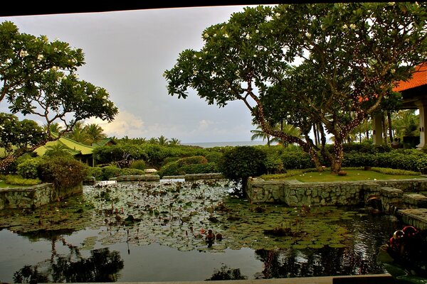 Bali Natur tagsüber