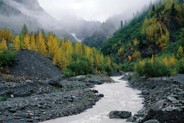 Photo de la nature en Alaska