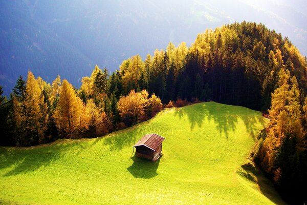 Casa solitaria in un campo vicino alla foresta