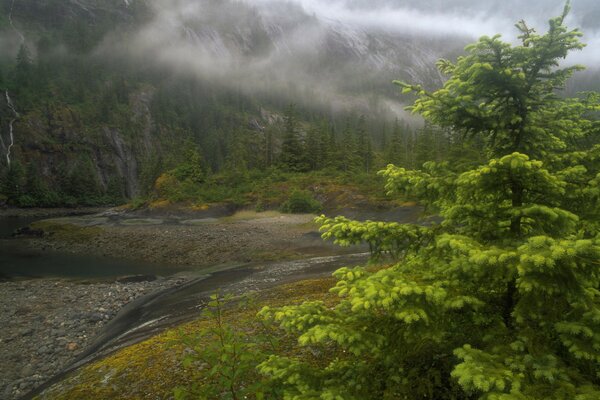 Thick fog on a river in Alaska