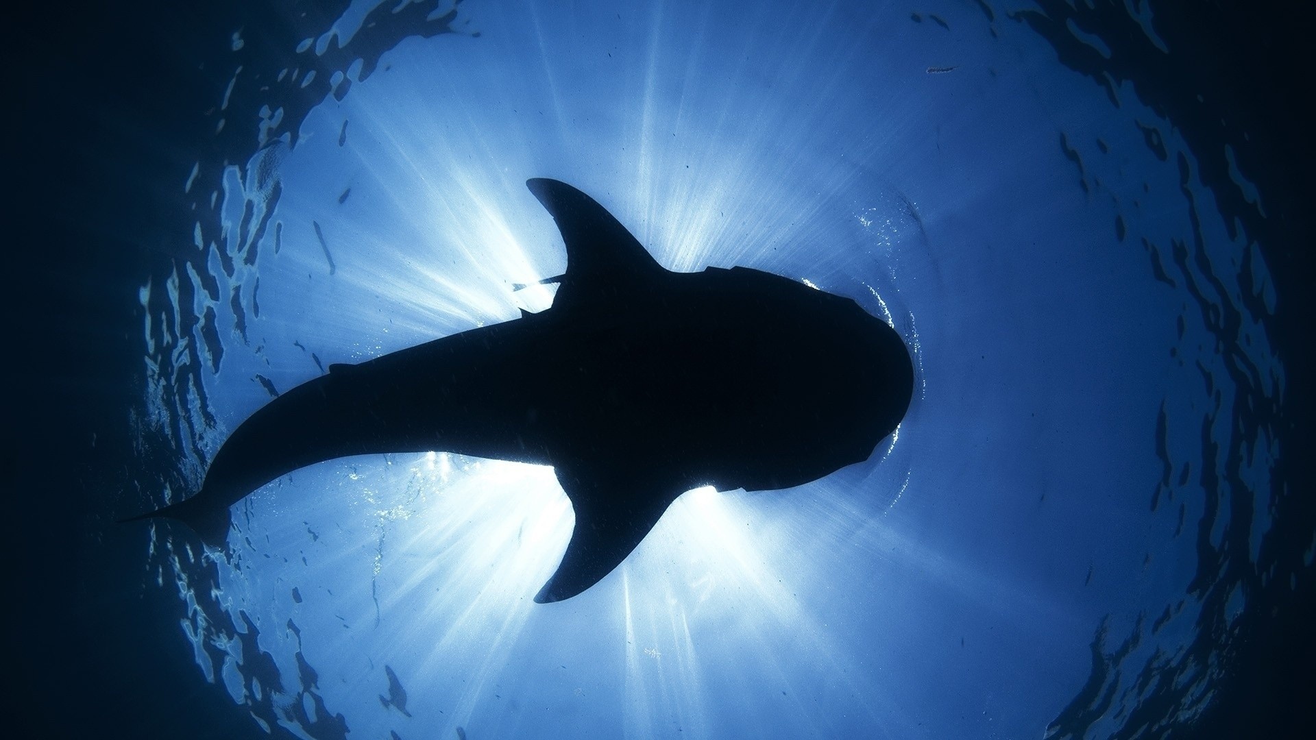 okb di asciutto raggi oceano acqua sole blu