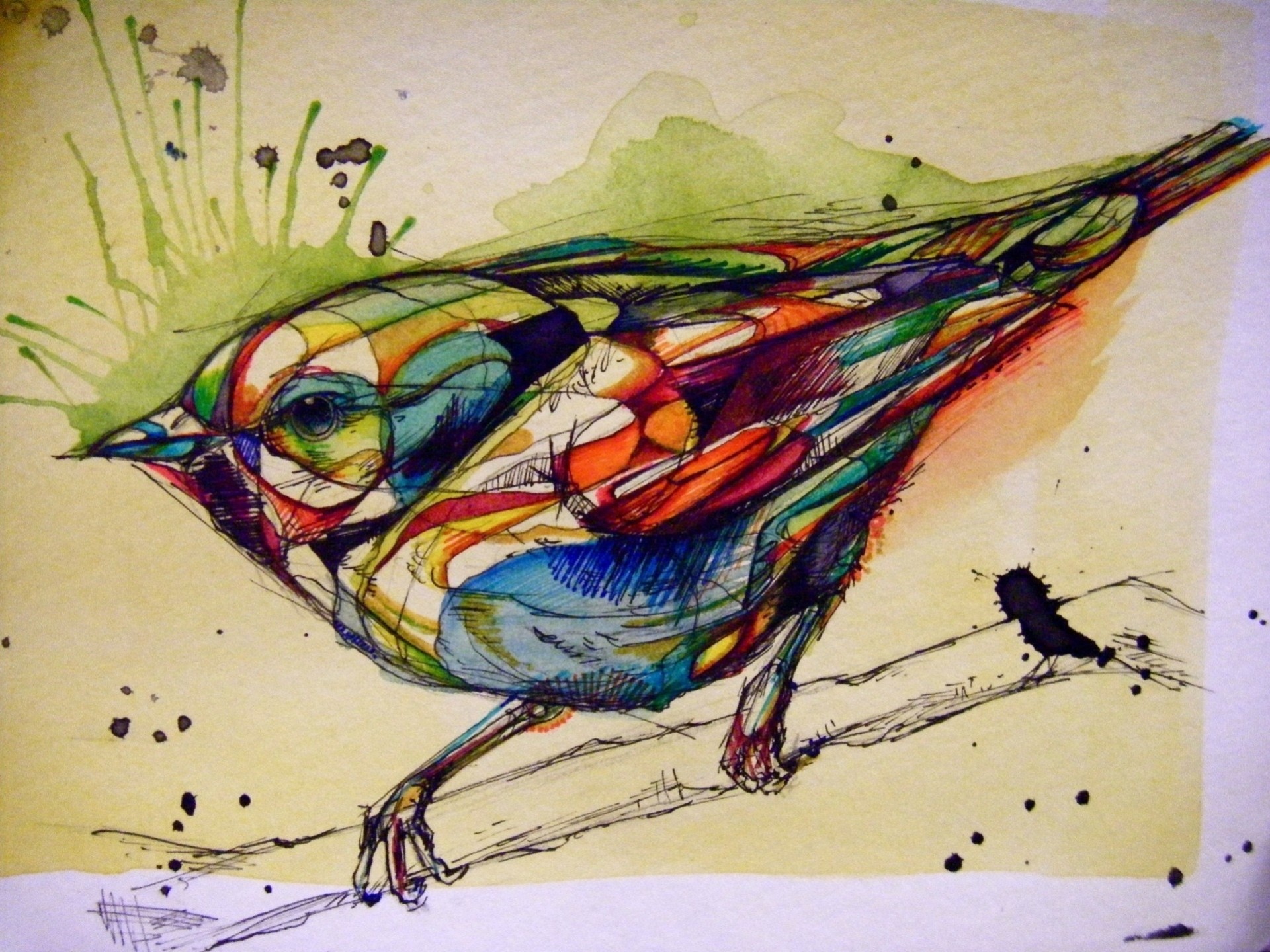 peinture oiseaux dessin encre raskasska graphiques