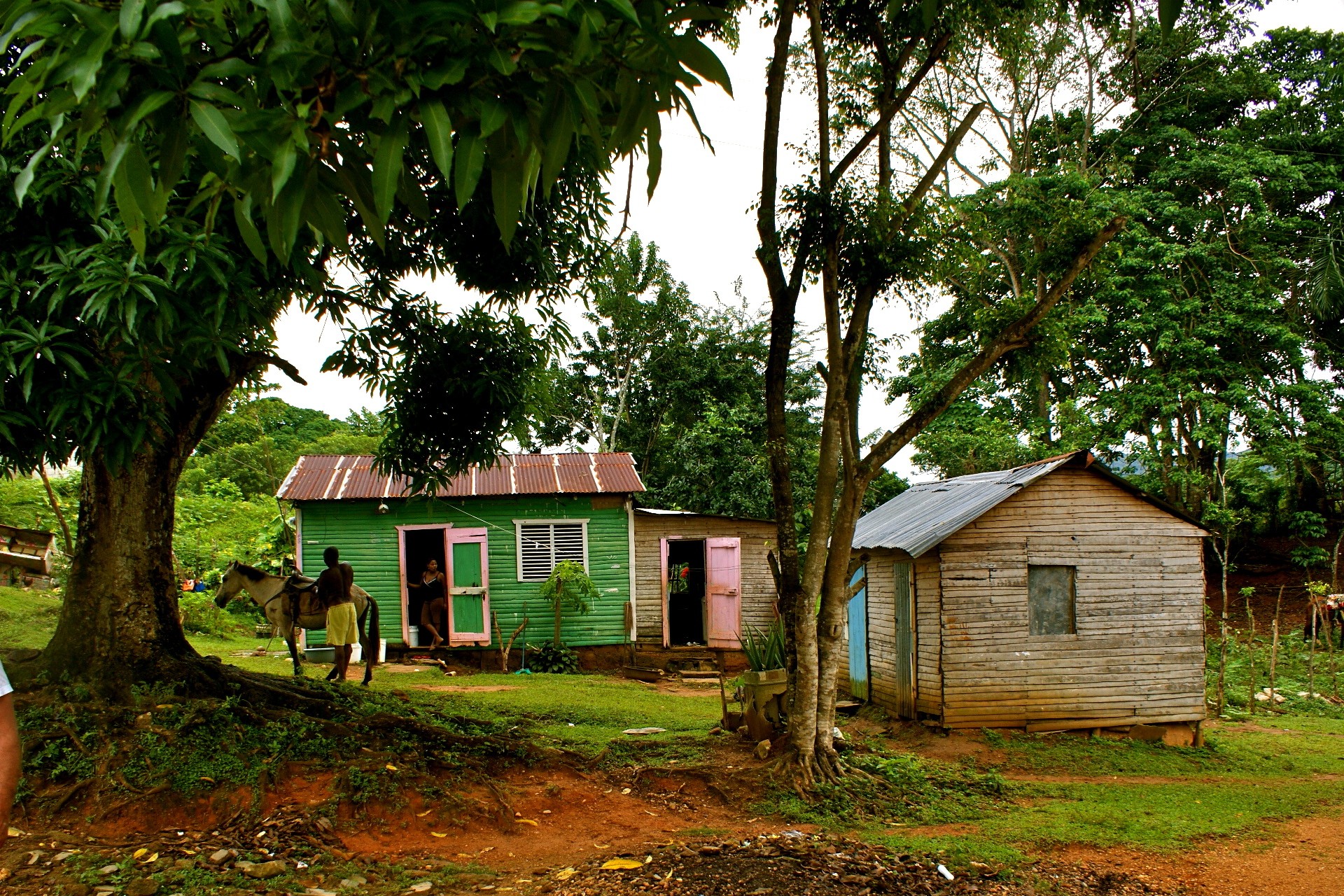 maisons personnes arbres