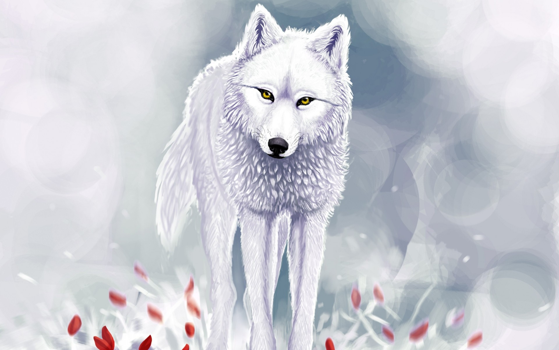 schnee winter weißer wolf rot