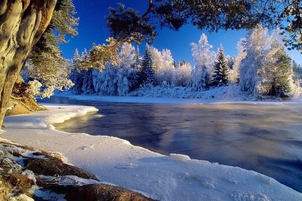 Schöne Winterlandschaft mit gefrorenem Fluss