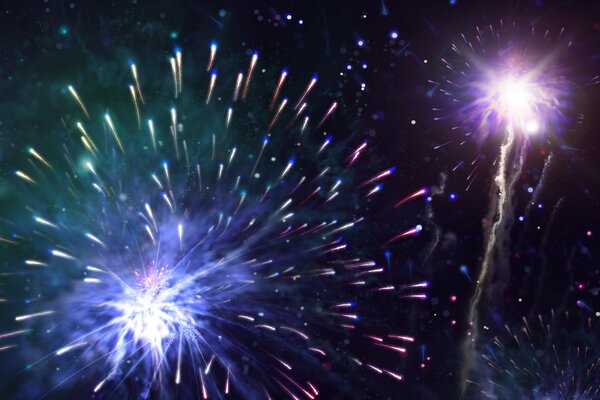 Fireworks in the night sky