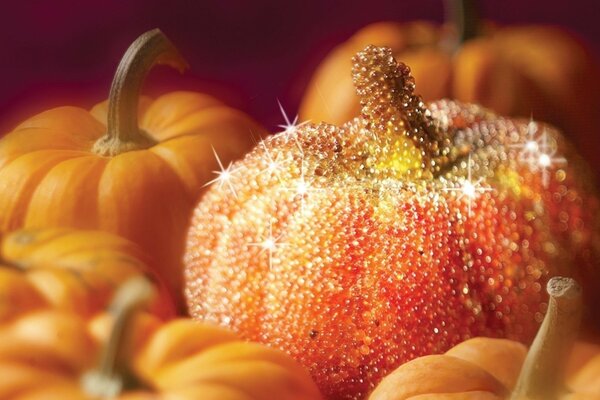 Zucca glitterata di Halloween