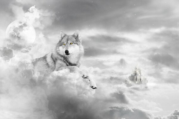 Loup dans les nuages duveteux. Art