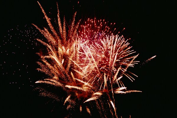 Fuochi d artificio nel cielo notturno della città notturna