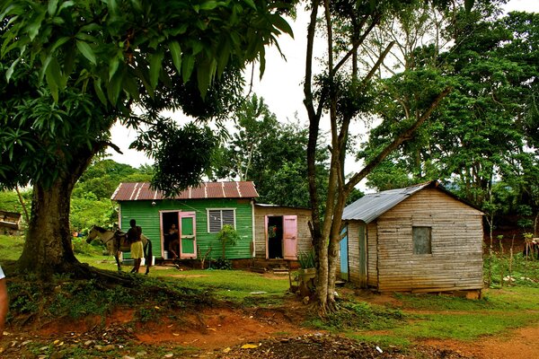 Casas de pueblo con un fondo de árboles tropicales