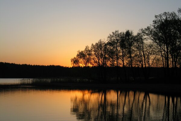 Puesta de sol en el lago en el fondo de los árboles