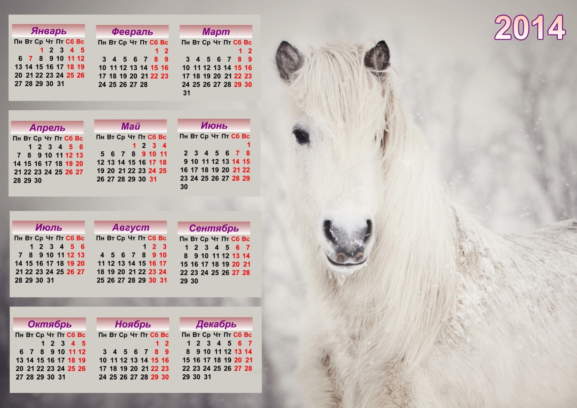 cheval 2014 calendrier