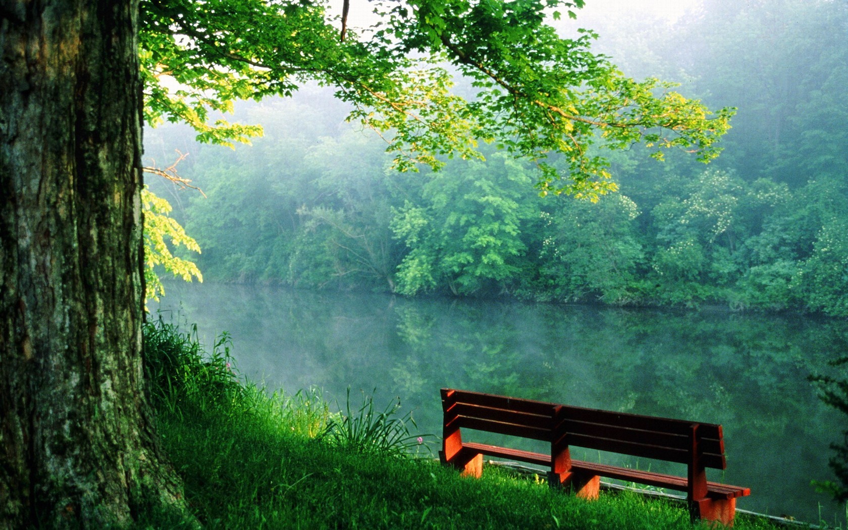 bench river of mind