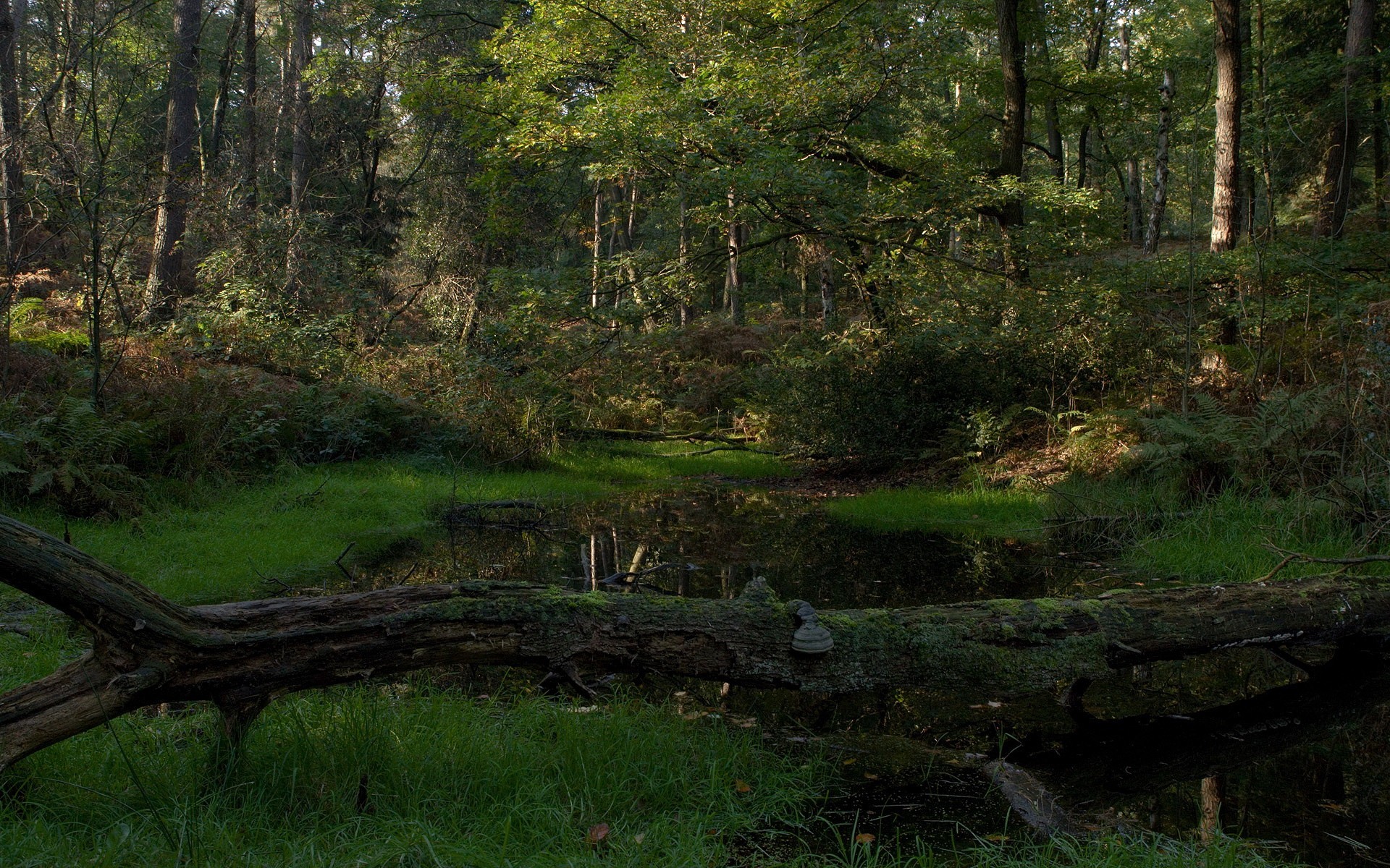 paysage rivière lac