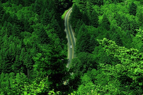 Tapete grün Straße Maschine