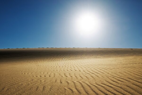 Inferno soleggiato nel deserto