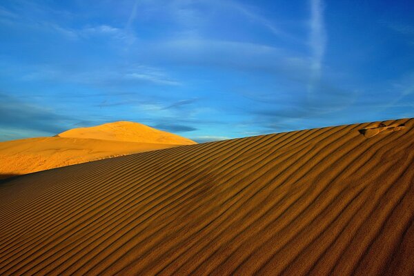 Las dunas del desierto bajo el cielo azul