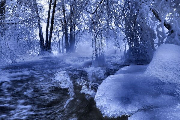 Fiume ghiacciato tra gli alberi tutto in brina