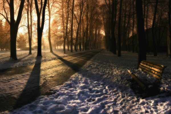 Die Wintersonne erhellt den Park