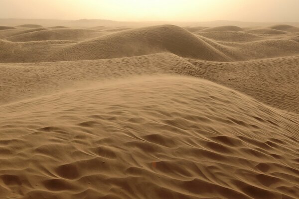 Barkhany deserto sabbia calda