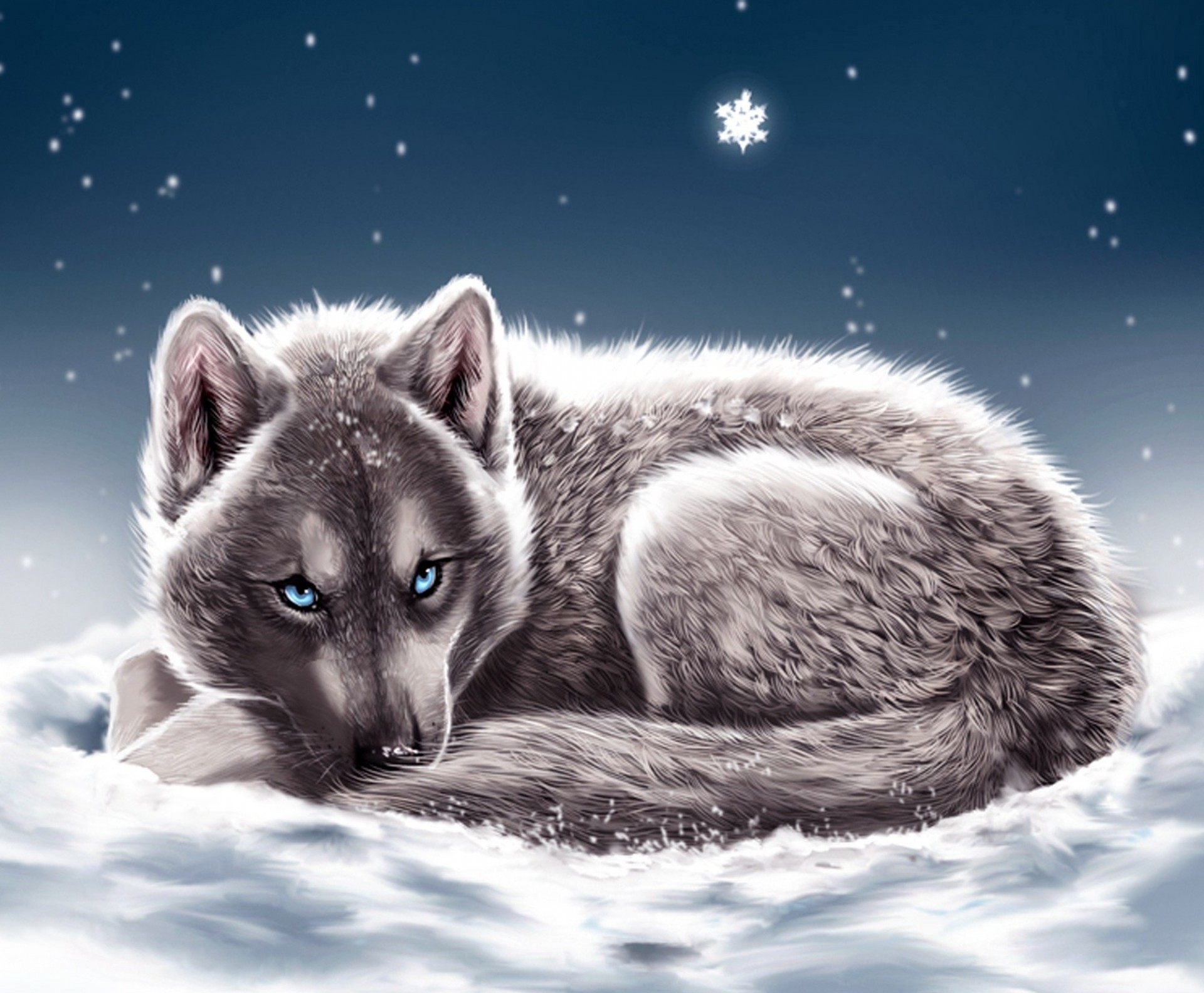 nowflakes wolf is blue eyes snow watches winter