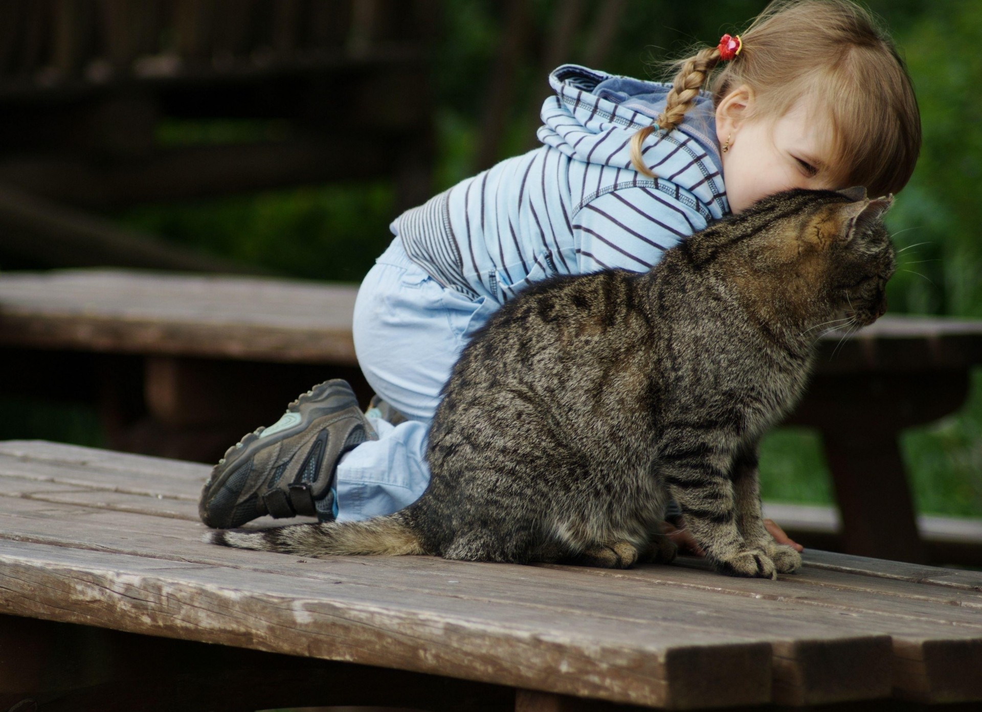 bebé niña coleta gato