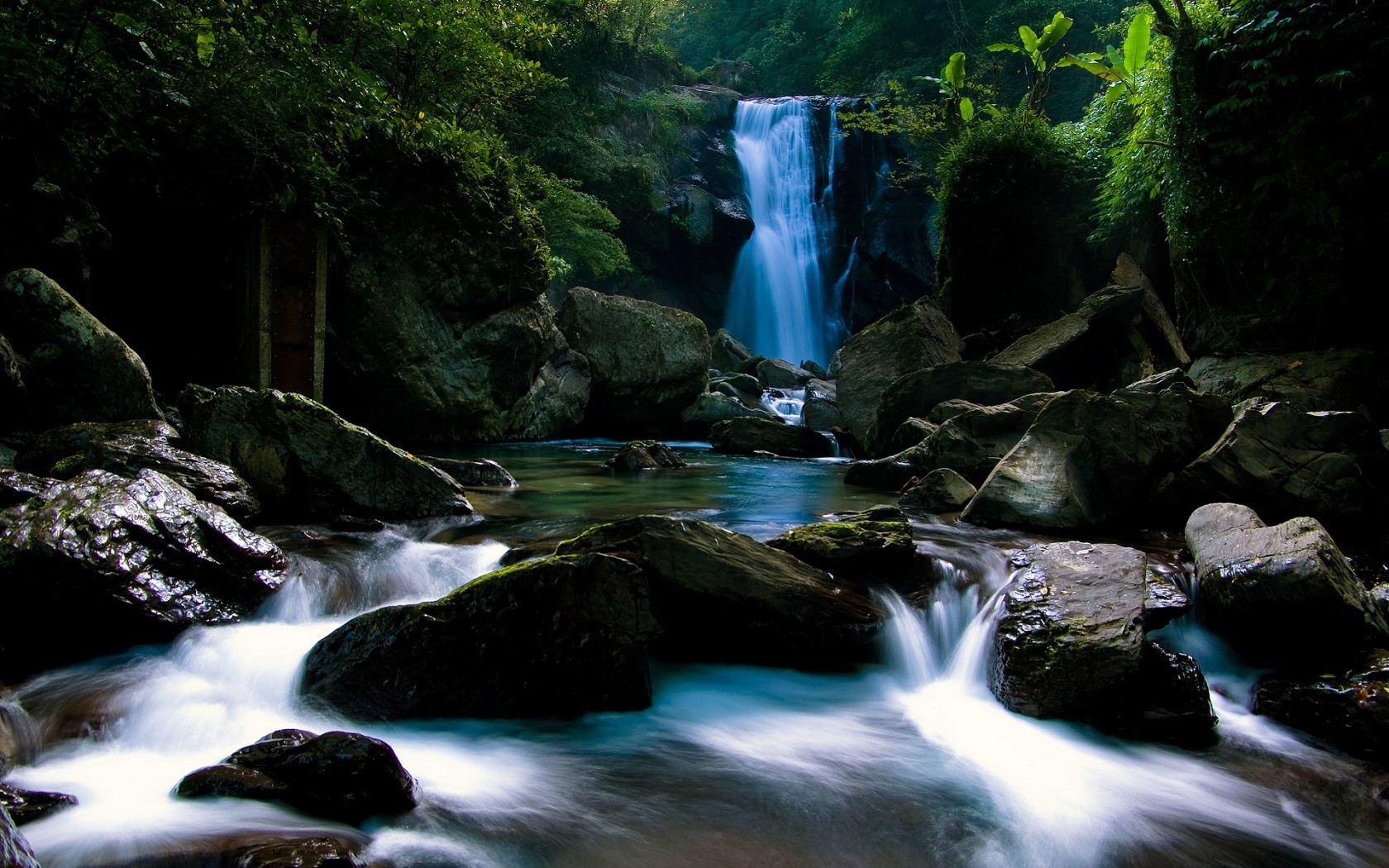 cascada piedras selva