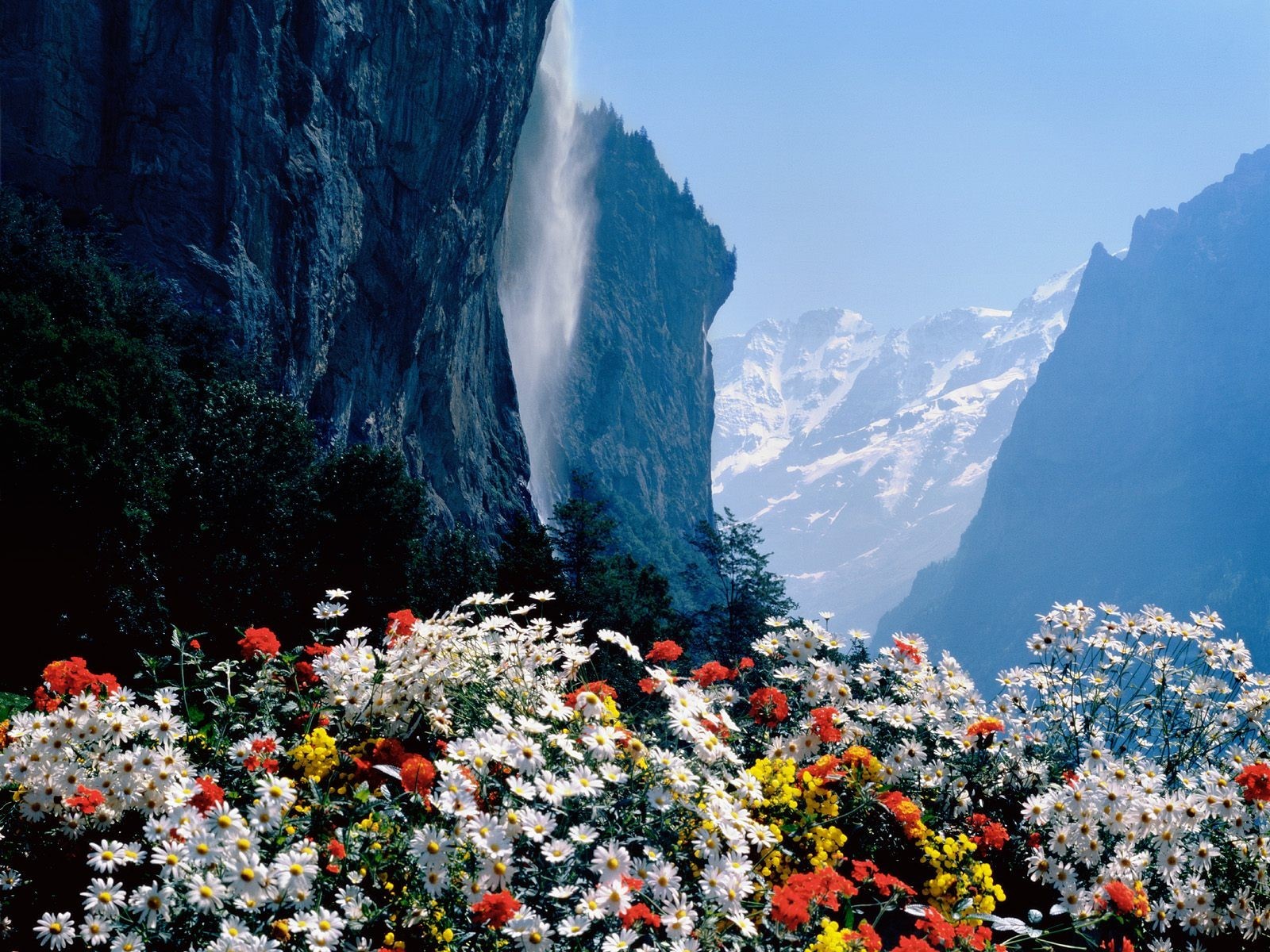 suisse cascade fleurs