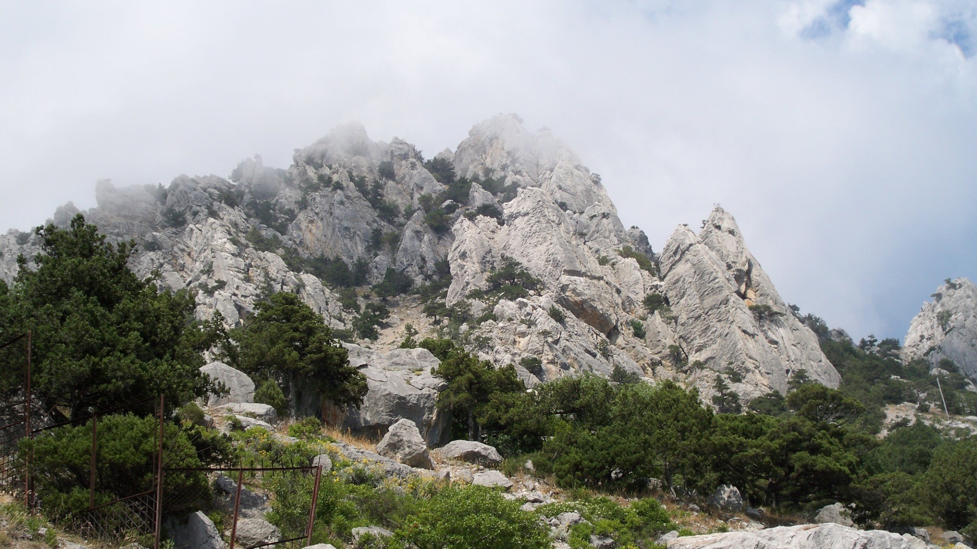 mountain fog nature