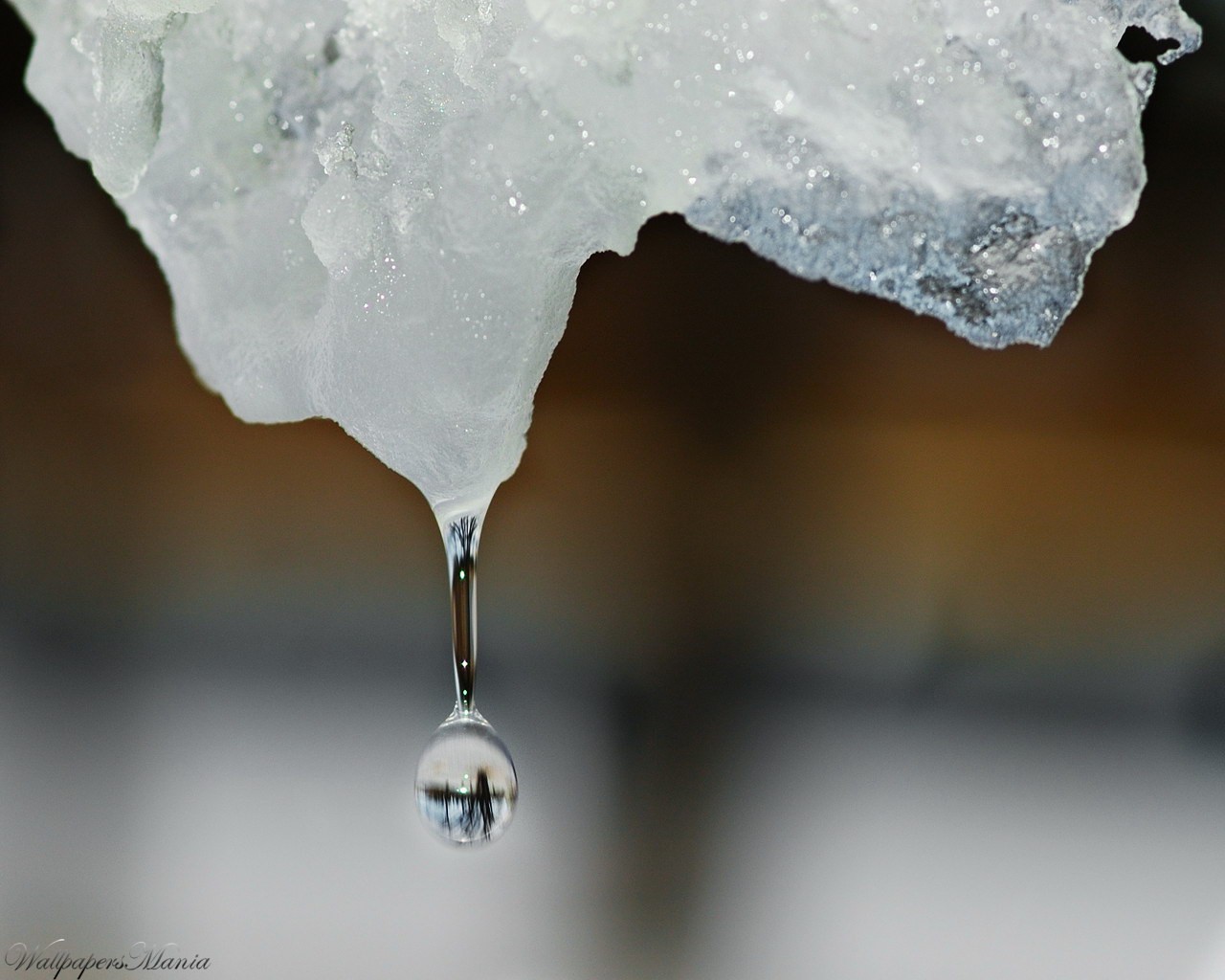 gota hielo invierno