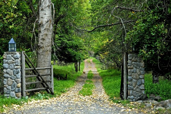 A road with a gate to the forest