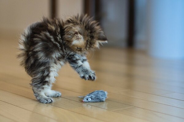 A kitten is playing on the floor with a mouse