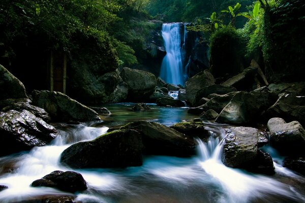 Cascada en la selva de piedra