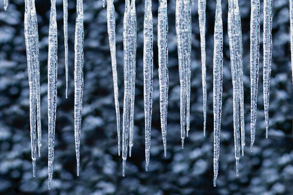 Carta da parati per ghiaccioli in inverno