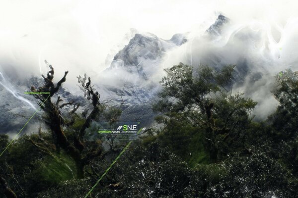 Árboles en el fondo de las montañas cubiertas de nieve