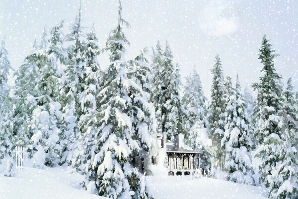 A house in the woods in the snow in the wilderness