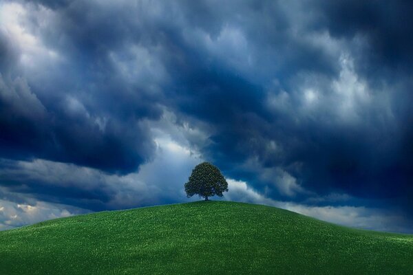 Albero su una collina verde su uno sfondo di cielo nuvoloso