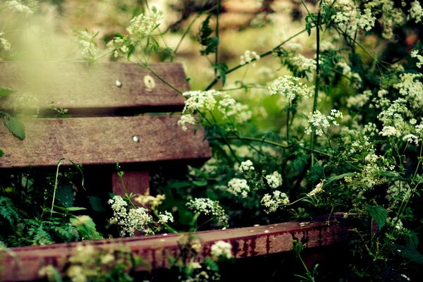 Wooden cozy bench in the greenery