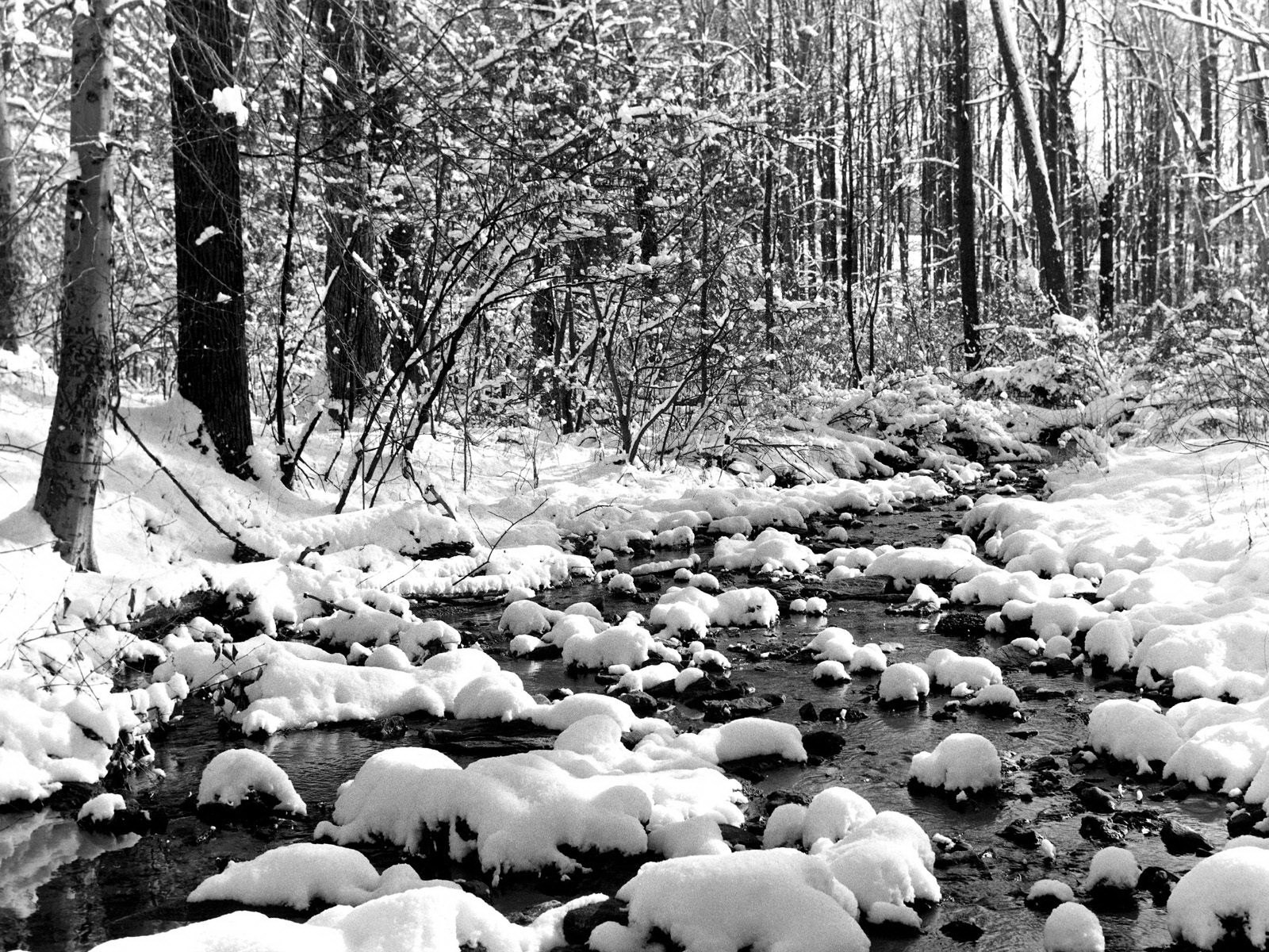 winter snow creek