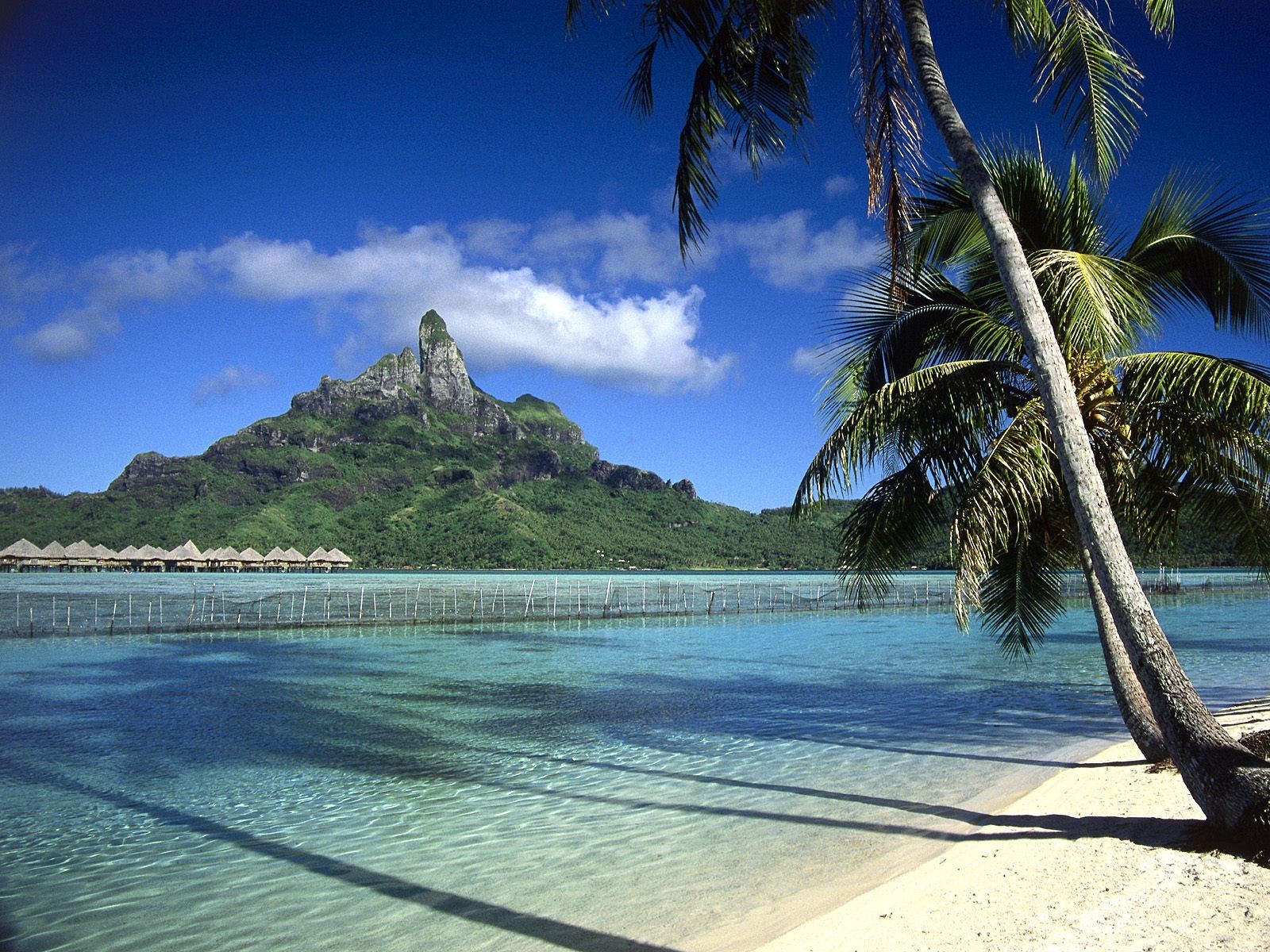 bora bora french polynesia