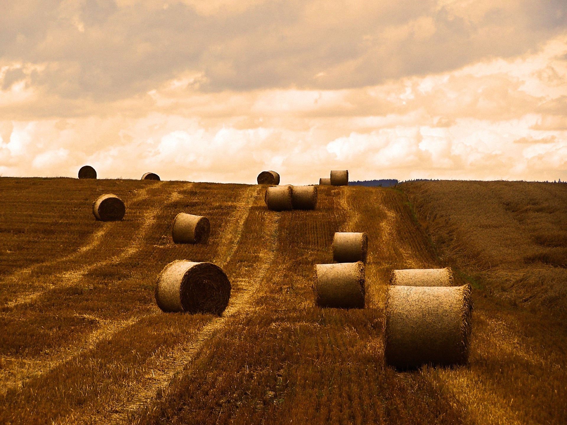 campo pulizia autunno