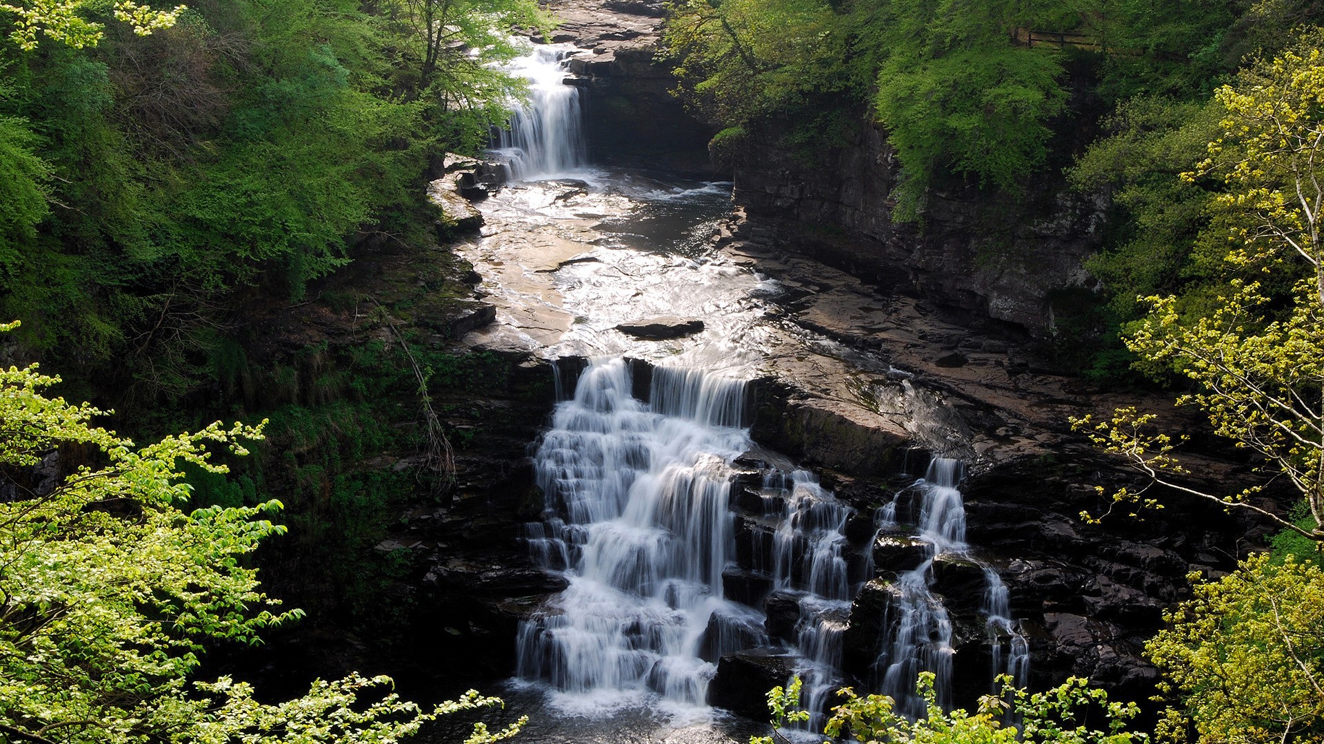 cascade forêt rochers