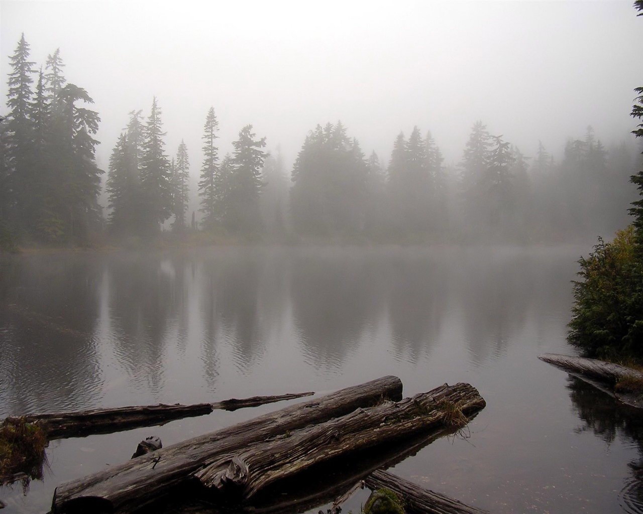 lac eau forêt brouillard