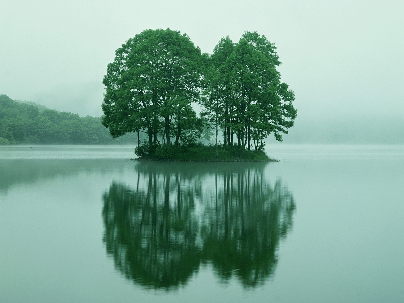 alberi isola riflessione