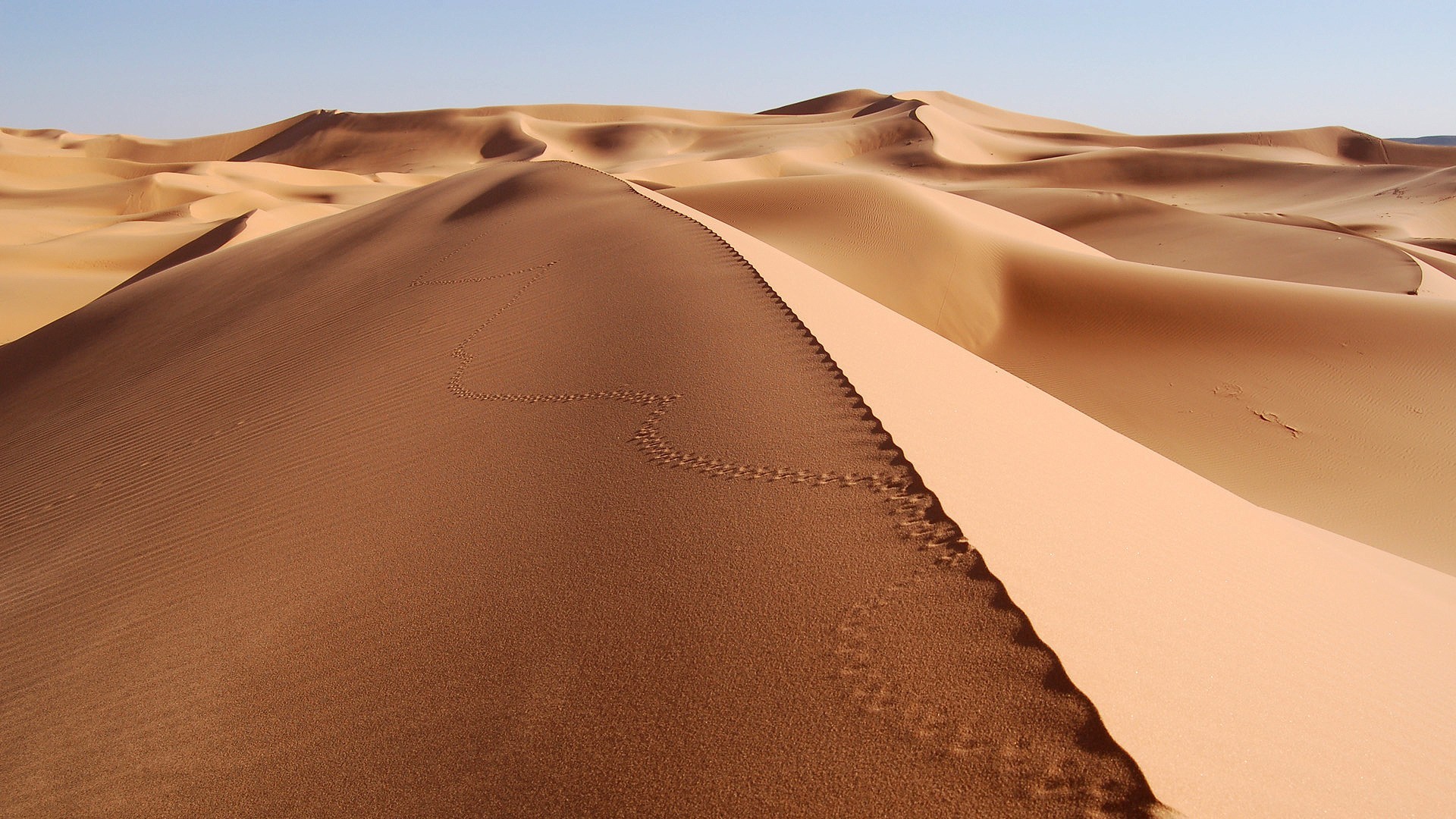 desierto arena huellas