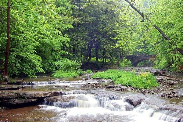 A stormy forest river, in the background - an old stone bridge